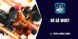 Đá gà WIBET