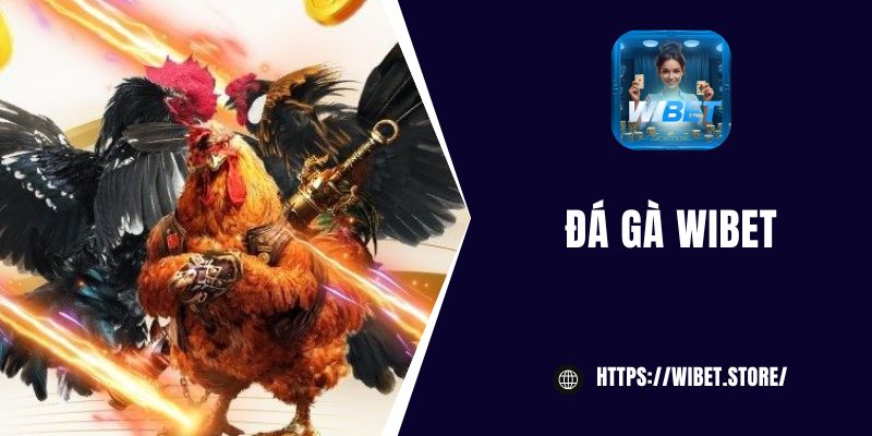 Đá gà WIBET