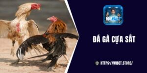 Đá gà cựa sắt